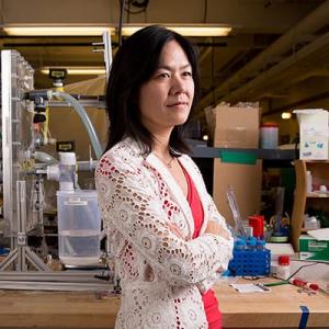 enwang@mit.edu's picture